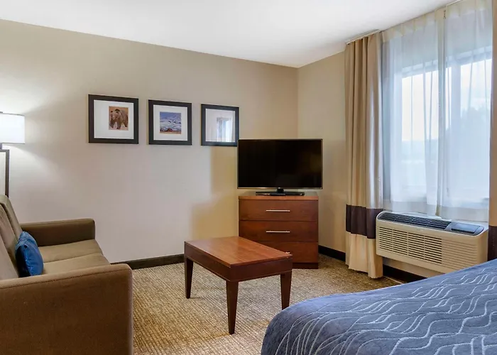 Comfort Inn Bozeman Near University
