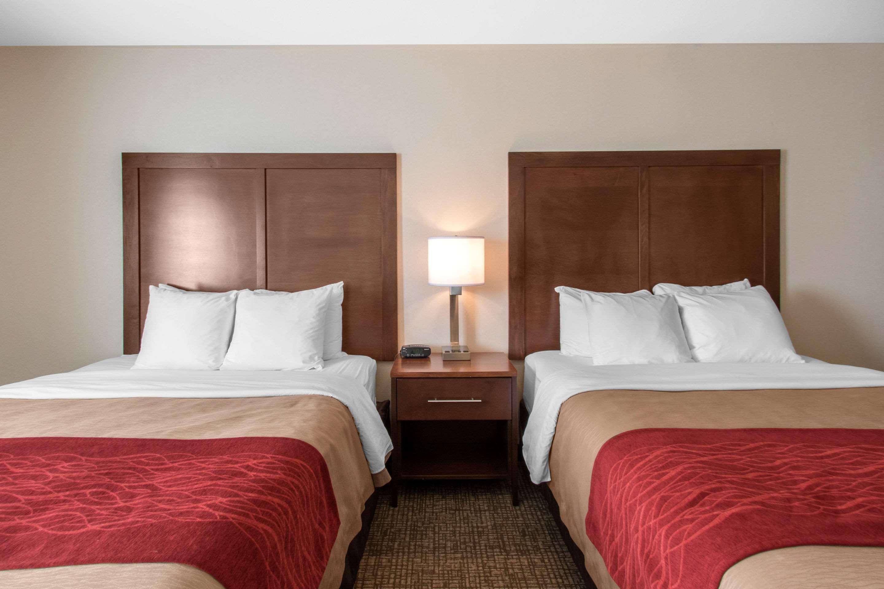 Comfort Near Mini-hôtel