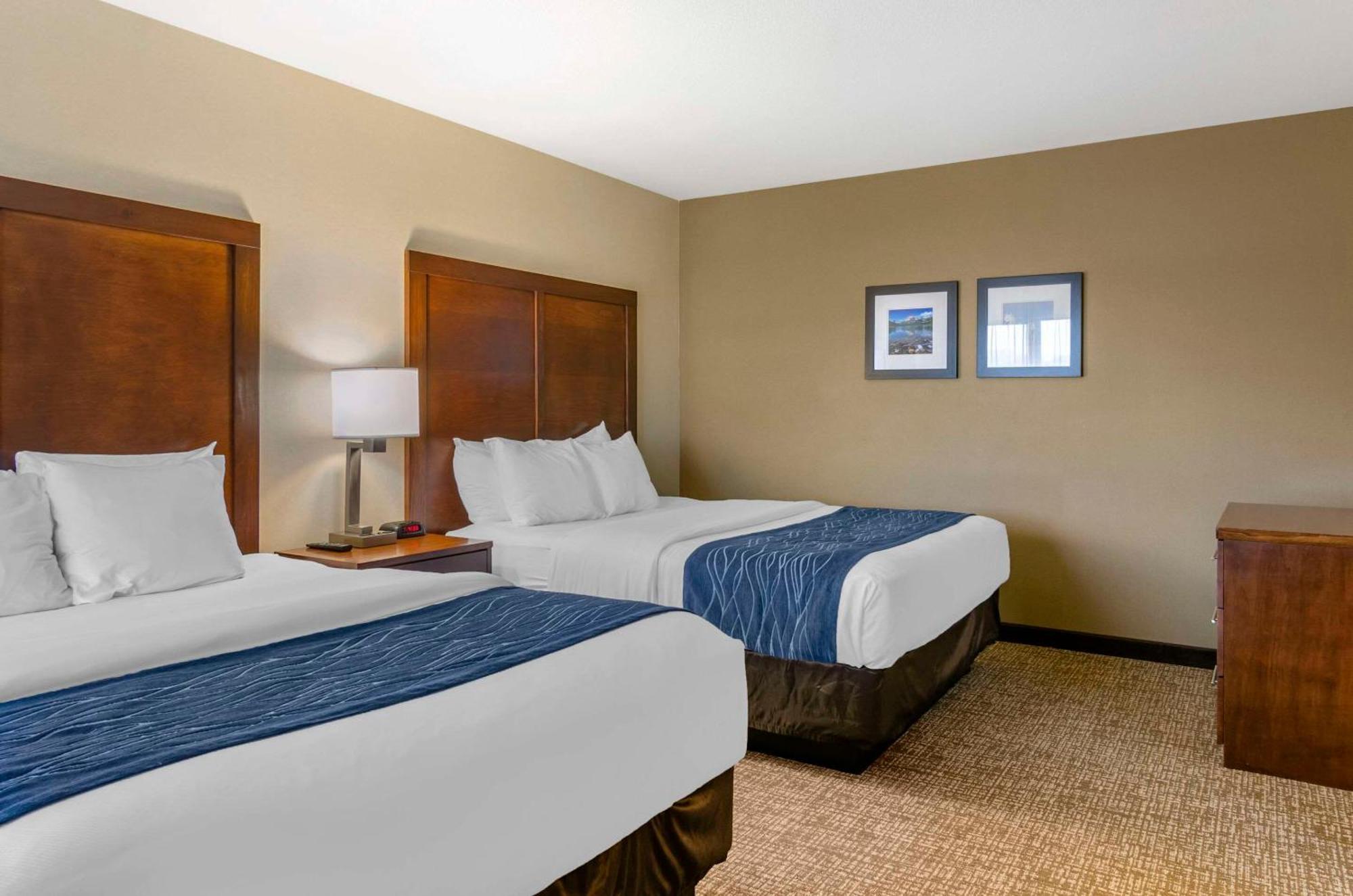 Comfort Near Bozeman